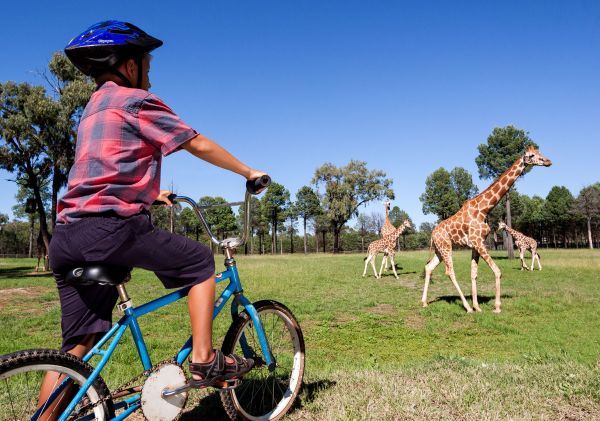 Taronga Western Plains Zoo, Dubbo