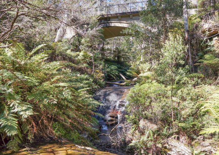 Scenic view of Leura Cascades, Leura