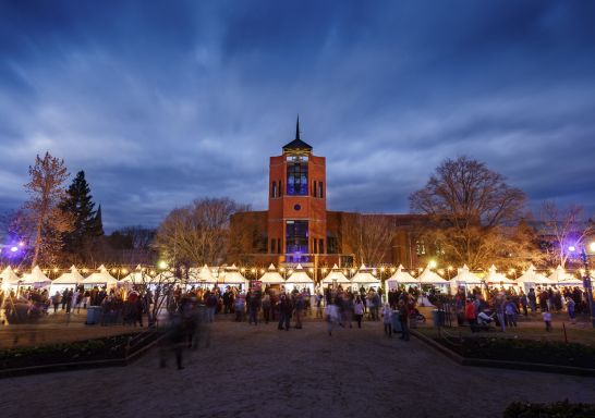 Bathurst Winter Festival - Credit: David Roma