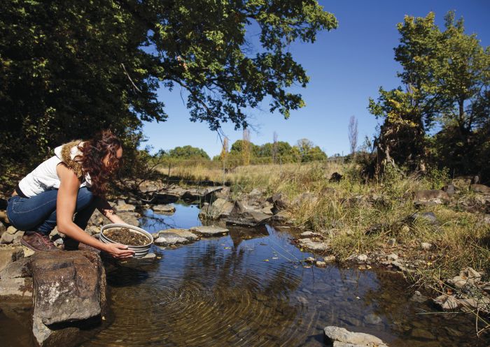 Woman fossicks for gemstones in Reddestone Creek, Glen Innes