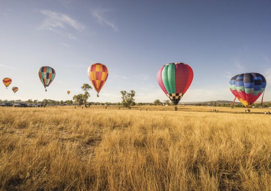 Balloons taking off in the Canowindra International Balloon Challenge