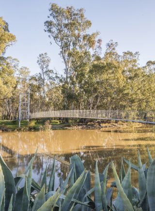 Man enjoying a paddle on the Murrumbidgee River, Narrandera