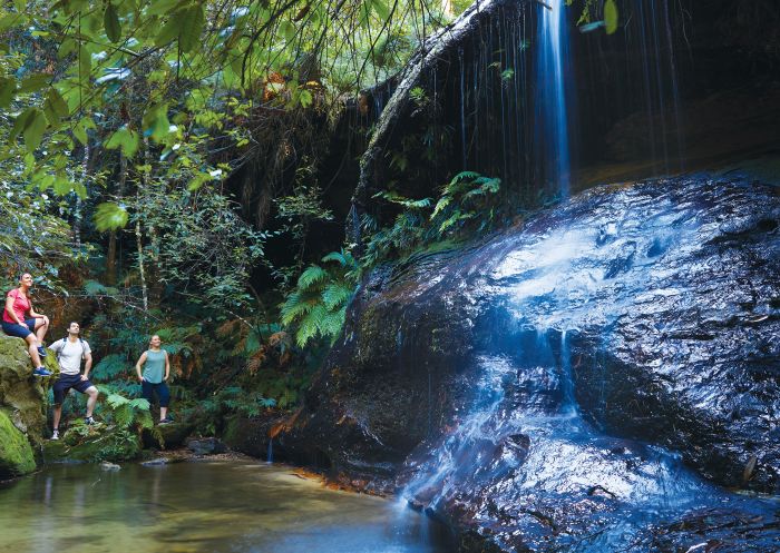 Friends enjoying the scenery along the South Lawson Waterfall Circuit, Blue Mountains