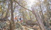  Family enjoying a hike through Mount Arthur Reserve, Wellington
