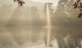 Lake Alexandra Reserve - Mittagong - Southern Highlands