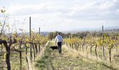 Winemaker Shaun Cassidy and his wine dogs at the Merilba Estate Wine property in Uralla 