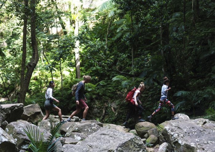 Friends enjoying a walk through Watagans National Park in Lake Macquarie, North Coast