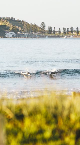 Terrigal Beach, Central Coast - Credit: David Ross | Central Coast Tourism