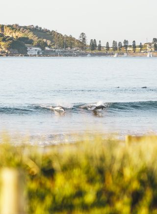 Terrigal Beach, Central Coast - Credit: David Ross | Central Coast Tourism