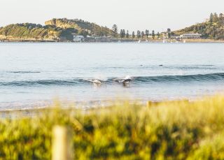 Terrigal Beach, Central Coast - Credit: David Ross | Central Coast Tourism