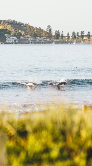 Terrigal Beach, Central Coast - Credit: David Ross | Central Coast Tourism