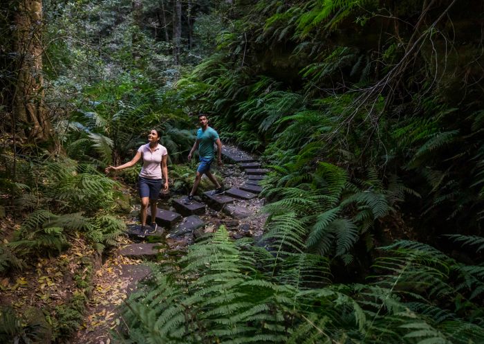 Couple enjoying a scenic walk along the Grand Canyon Walking Track, Blackheath