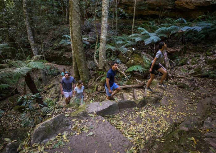 Friends enjoying a scenic walk along the Grand Canyon Walking Track, Blackheath 
