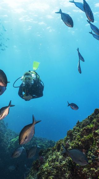 Scuba diver exploring the Julian Rocks dive site, Byron Bay