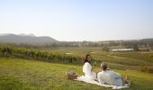Enjoying a picnic at Audrey Wilkinson - Pokolbin - Hunter Valley