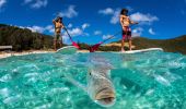 People stand up paddleboarding off Neds Beach, Lord Howe Island