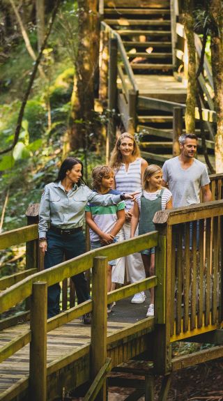 Copeland Tops State Conservation Area, Barrington