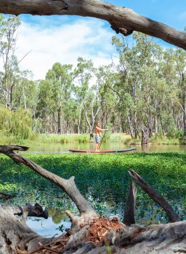 Man enjoying a paddle on the Murrumbidgee River, Narrandera