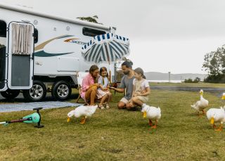 Family enjoying wildlife at NRMA Ocean Beach Holiday Resort, Umina Beach