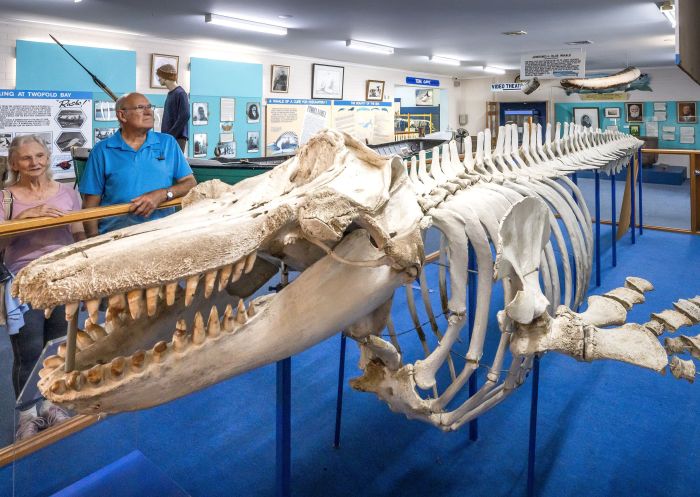 People exploring the Killer Whale Museum, Eden