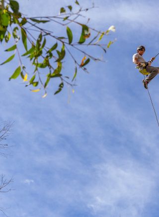 Man abseiling with High and Wild Australian Adventures, Katoomba