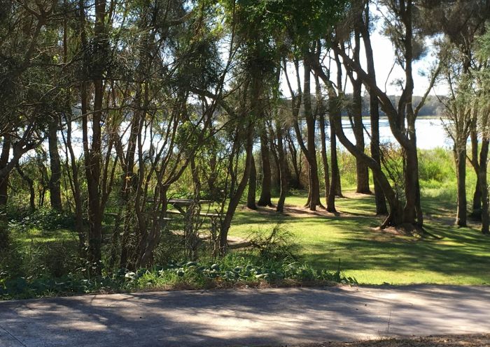 Scenic view of cycleway at Tuggerah Lakes Cycleway, The Entrance