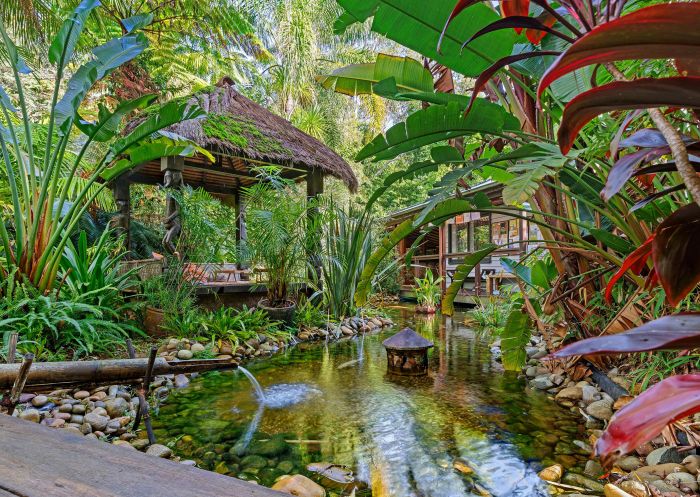 Tropical koi pond at Bamboo Buddha, Holgate