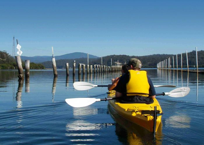 Man kayaking on the Clyde River with Region X Sea Kayak and Camping Adventures, Eurobodalla