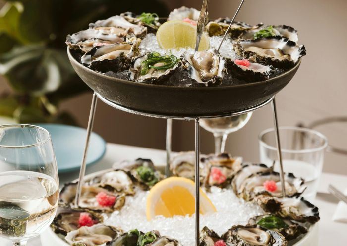Freshly shucked Sydney Rock oysters at Thirty Three Degrees, Tuncurry