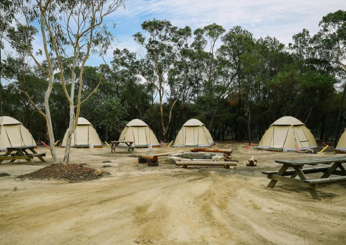 Wild Sleep Out Campground at Walkabout Wildlife Sanctuary, Calga