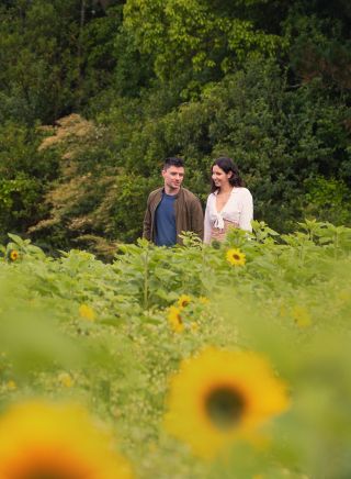 Couple walking through the sunflowers at Bloom Barn, Peats Ridge