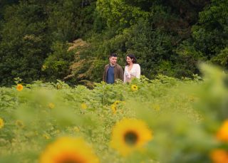 Couple walking through the sunflowers at Bloom Barn, Peats Ridge