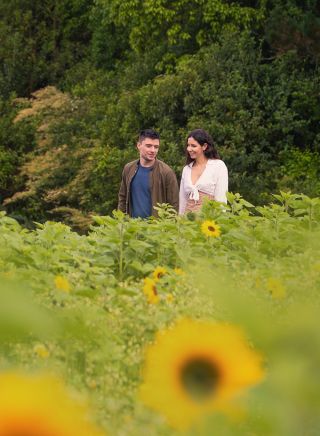 Couple walking through the sunflowers at Bloom Barn, Peats Ridge