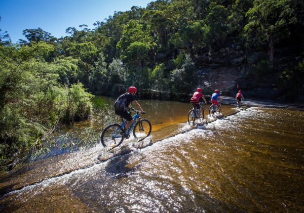 Mountain biking, Blue Mountains Friends enjoying mountain biking in Blue Mountains