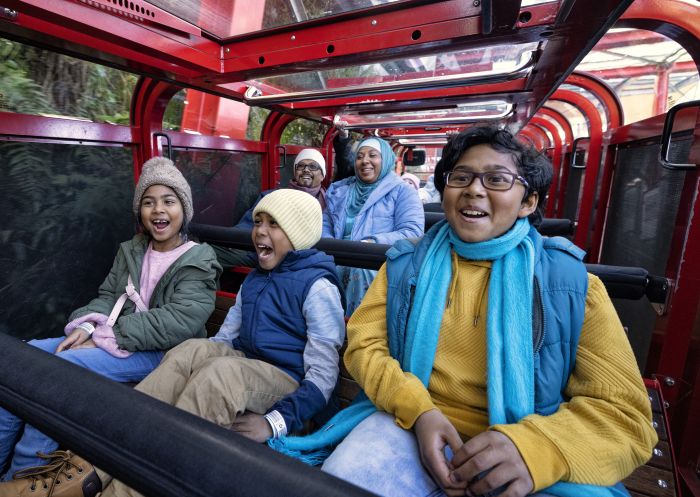 Family at Scenic World in Katoomba, Blue Mountains