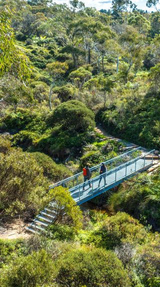 Grand Cliff Top Walk, Wentworth Falls - Credit: Daniel Parsons/DPE