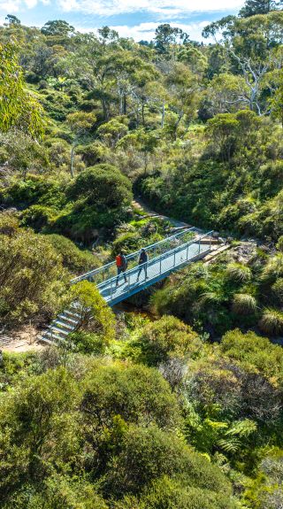 Grand Cliff Top Walk, Wentworth Falls - Credit: Daniel Parsons/DPE