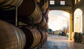 Wine barrels inside the Eling Forest Winery, Sutton Forest