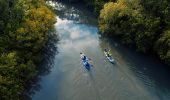 Canoeing along the Rous River, The Tweed