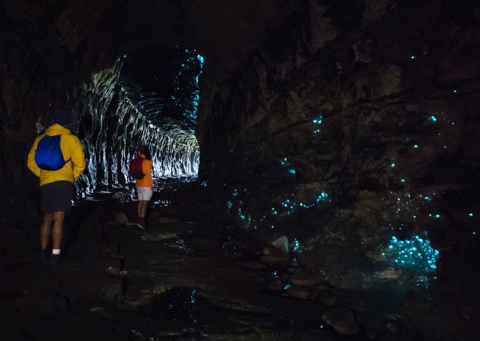 Glow worm tunnel, Wollemi National Park