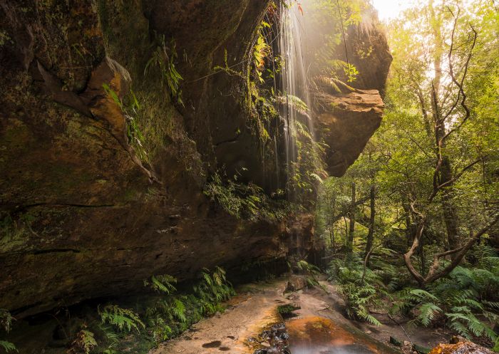 Waterfall at Grand Canyon track, Blue Mountains National Park