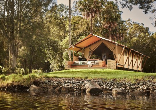 Koala Glamping Tent at dusk, Myall River Camp