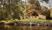 Koala Glamping Tent at dusk, Myall River Camp