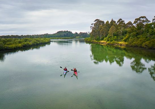 Navigate Expeditions - Bermagui Kayak Tour