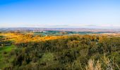 Scenic view from Pinnacle Reserve and Lookout, Canobolas